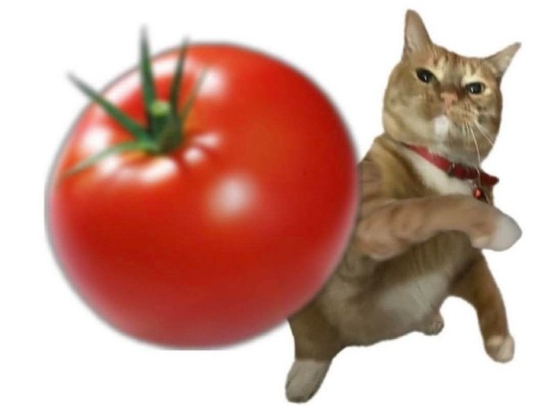 Avatar de Gatinho do Tomate